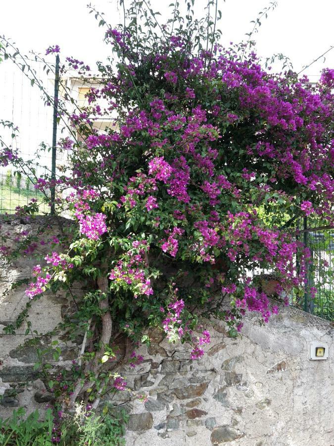 B&B Ai Tre Archi Spotorno Buitenkant foto