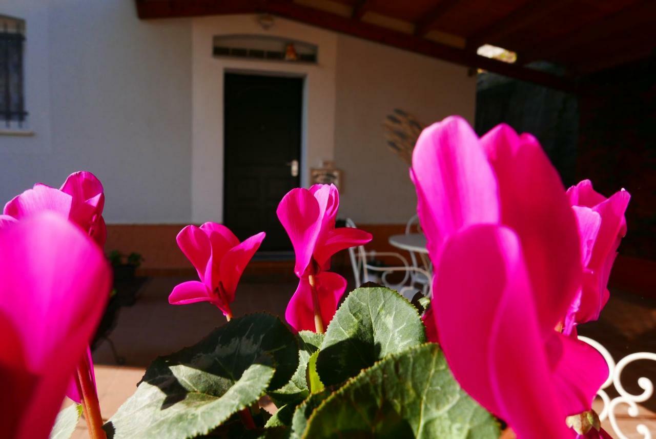 B&B Ai Tre Archi Spotorno Buitenkant foto